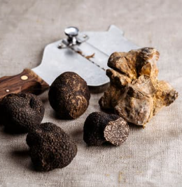 Truffle Picture 2